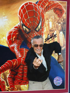 Fotografía Enmarcada / Spiderman / Stan Lee