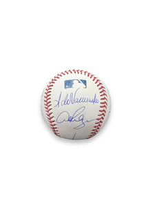 Pelota de baseball / Legends of baseball / Fernando Valenzuela, Alex Rodriguez, Pedro Martinez, Ivan Rodriguez, Juan Marichal, Rod Carew, Miguel Tejada Y Edgar Martinez