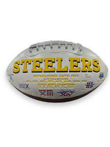 Balón Panel / Steelers / Hines Ward