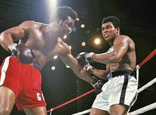 Load image into Gallery viewer, Guante / Boxeo / George Foreman
