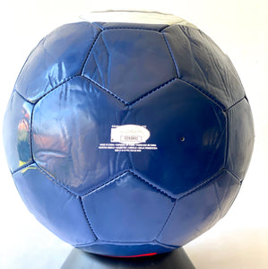 Balón / PSG / Zlatan Ibrahimovic