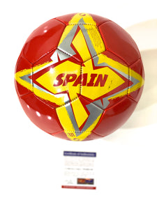 Balón / España / Andrés Iniesta