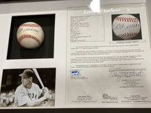 Load image into Gallery viewer, Pelota enmarcada / Red Sox / Ted Williams
