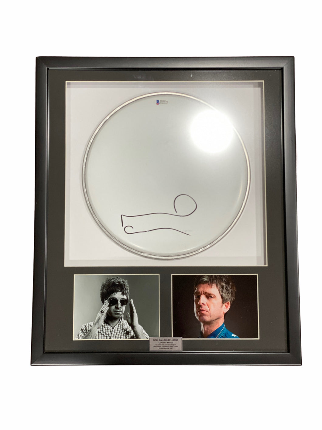 Drumhead | Oasis | Noel Gallagher