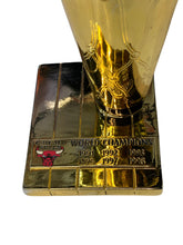 Cargar imagen en el visor de la galería, Trofeo Mini / Bulls / Dennis Rodman
