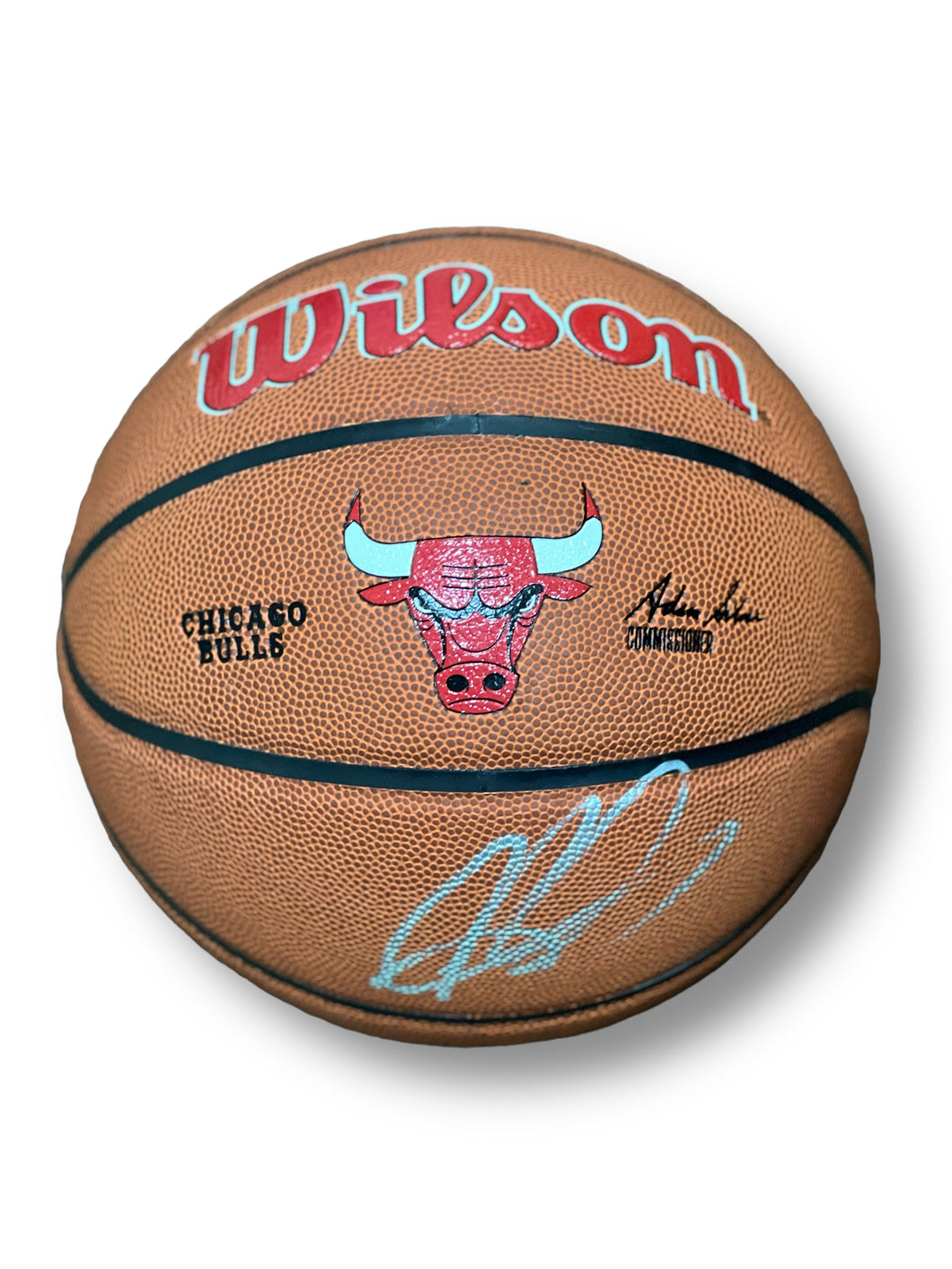 Balón / Bulls / Dennis Rodman