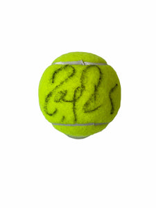 Pelota / Tenis / Roger Federer