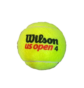 Pelota / Tenis / Serena Williams