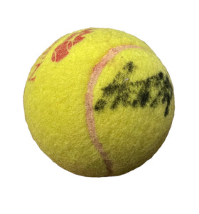 Pelota / Tenis / Andre Agassi