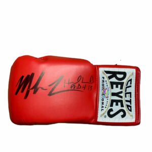 Guante / Boxeo / Mike Tyson vs Evander Holyfield