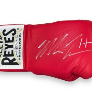 Guante / Boxeo / Mike Tyson vs Evander Holyfield