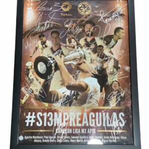 Poster Enmarcado / America / Varios