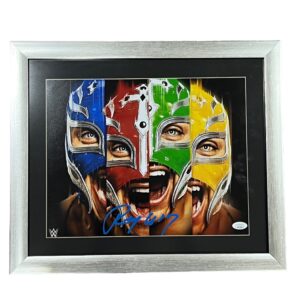 Foto enmarcada / Lucha Libre / Rey Misterio