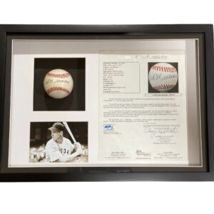 Pelota enmarcada / Red Sox / Ted Williams