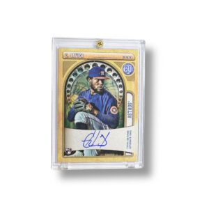 Tarjeta / Baseball Astros / Christian Javier