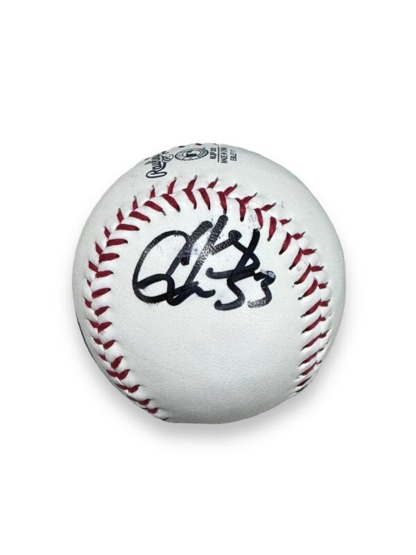 Pelota Baseball / Astros / Christian Javier – Onfield