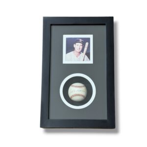 Pelota enmarcada / Red Sox / Ted Williams