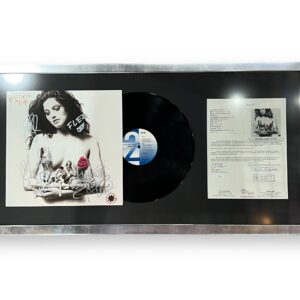 Disco LP / Musica / Red Hot Chili Peppers (Banda completa)