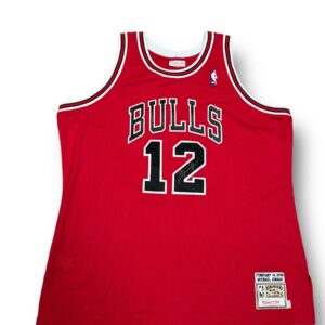 Jersey / Bulls / Michael Jordan