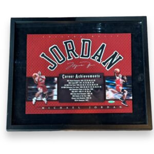 Cuadro estadísticas  / Bulls / Michael Jordan