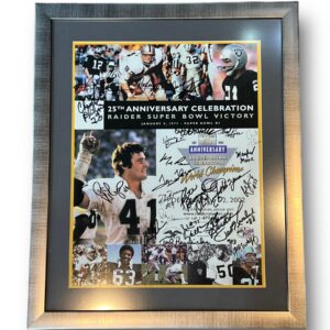 Poster Enmarcado / Raiders / Varios