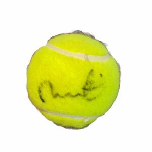 Pelota / Tenis / Martina Hingis